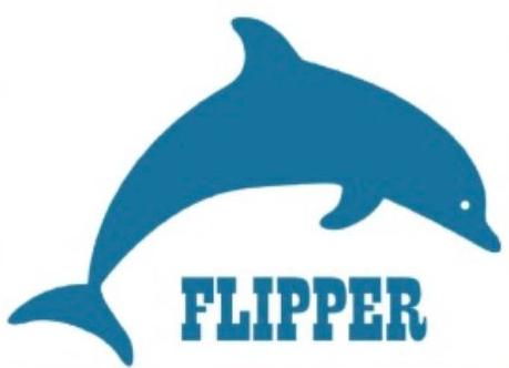 Flipper
